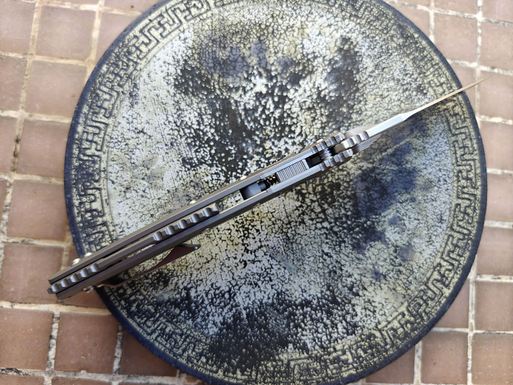 Mai's Real D2 Lama Amphibia Co - Bushcraft Knife Fixed recensione e prezzo